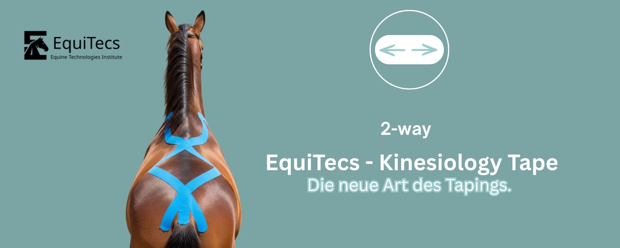 EquiTecs - Kinesiology Tape für Pferde