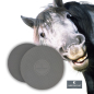 Preview: NØRSHOLM Balance Pads for the horse