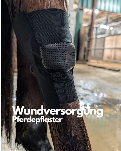 Preview: Alexalife Wundschutz für Pferde, 4 Stück