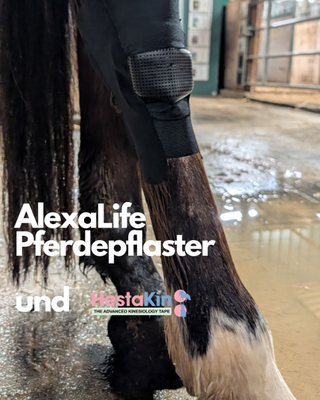 Preview: Alexalife Wundschutz für Pferde, 4 Stück