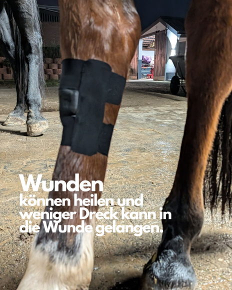 AlexaLife horse wound protection