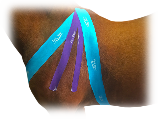Equi-Tape® Advantage, purple, 5m x 7,5cm