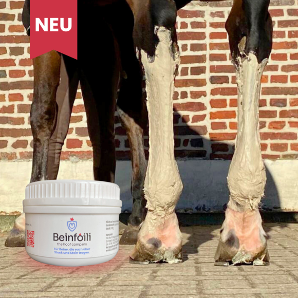 EQUISTRO Percutin Paste äußerlich vet. 2 kg