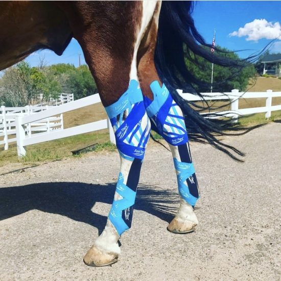 Equi-Tape® Advantage, royal blue, 5m x 5cm