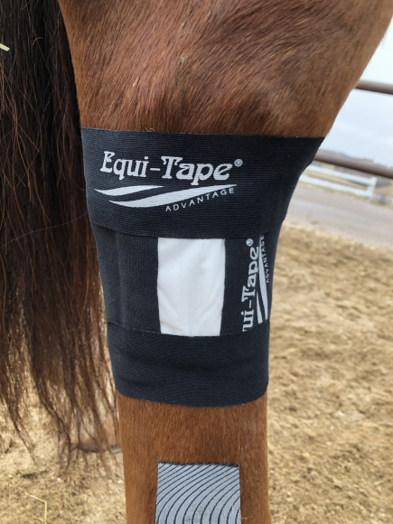 Equi-Tape® Advantage, black, 5m x 5cm