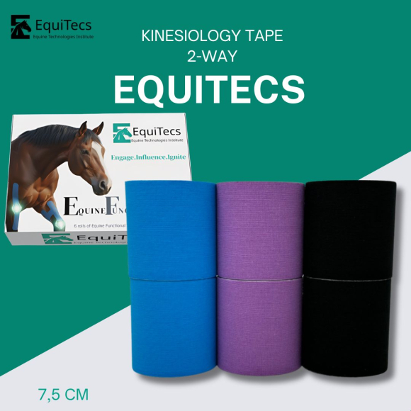 EquiTecs Kinesiology Tape 2-Way 7,5cmx5m Set (Hellblau,Lila,Schwarz)