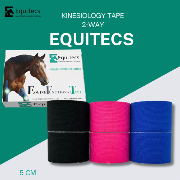 EquiTecs Kinesiology Tape 2-Way 5cmx5m Set (Pink,Royalblau,Schwarz)