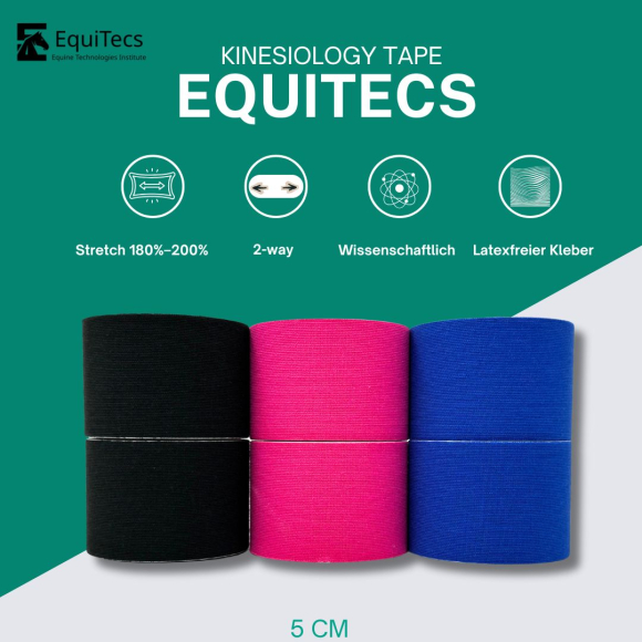 Preview: EquiTecs Kinesiology Tape 2-Way 5cmx5m Set (Pink,Royalblau,Schwarz)