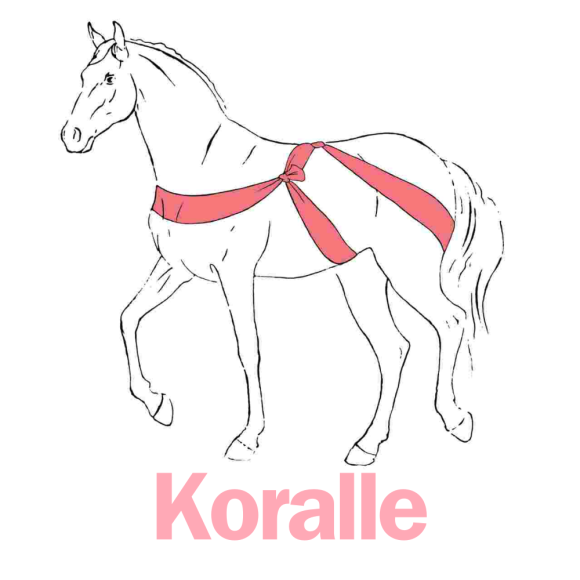 Körperbänder