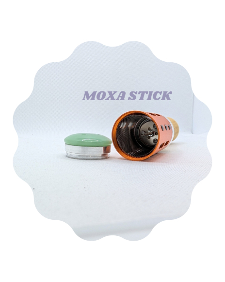 Preview: Moxa Jade Stick