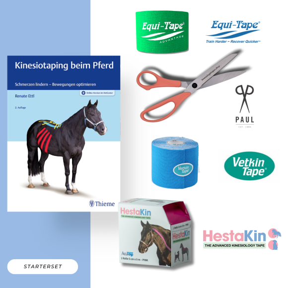 Kinesiotaping VET Starterset groß