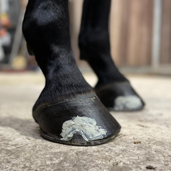 Strahlfoili – 1kg Hufpflege – zur Pflege bei Strahlfäule – für Hufstrahl, die Hufsohle & weiße Linie – unterstützend bei bakteriell belasteten Hufbereichen