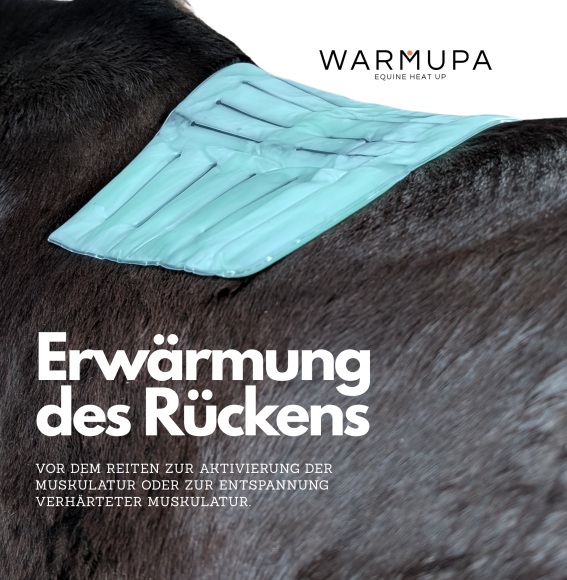 Preview: WARMUPA - Equine Heat Up
