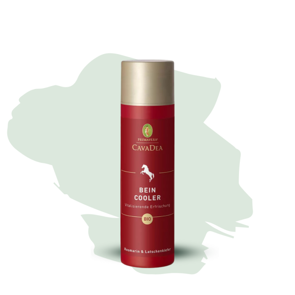 CavaDea Bein Cooler bio 190ml