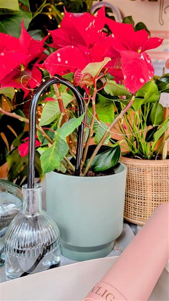 Gießhalm groß - Schwarz / Schwarz