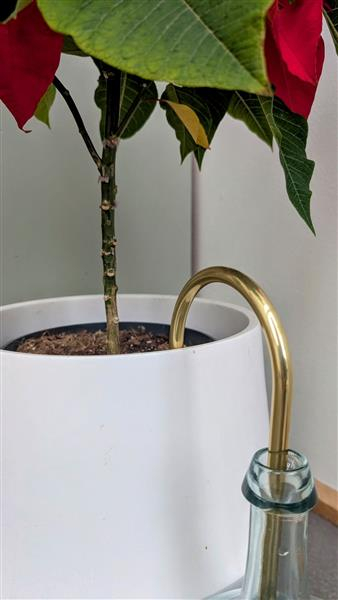 Gießhalm groß - Messing / Milchweiß