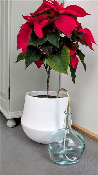 Gießhalm groß - Messing / Milchweiß