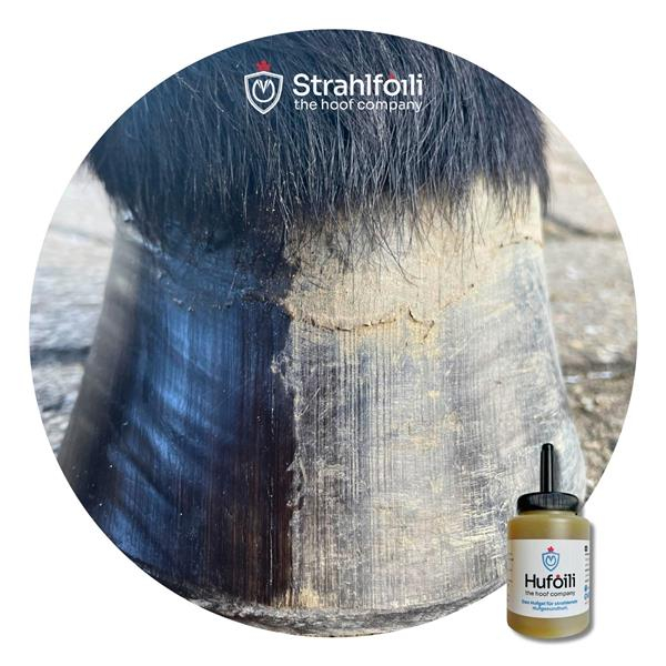 Hufoili mit Pinsel natur 250ml