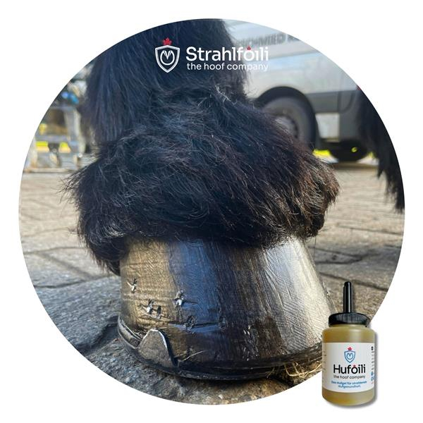 Hufoili mit Pinsel natur 250ml
