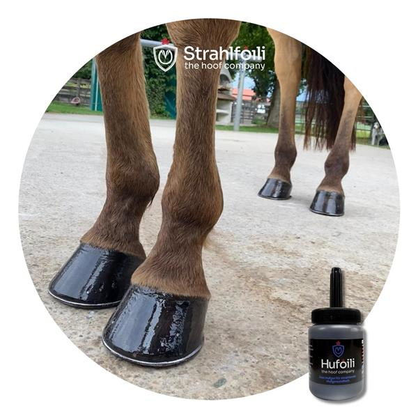 Hufoili mit Pinsel black edition 250ml