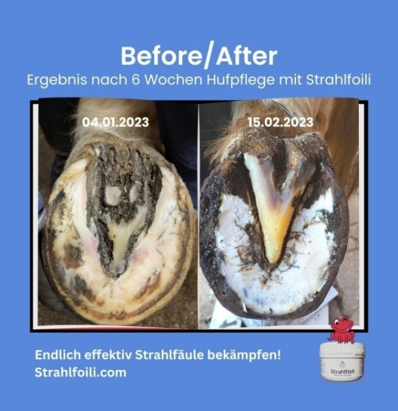 Strahlfoili gegen Strahlfäule, Hufrisse und für die Pflege der Hufsohle, 500g