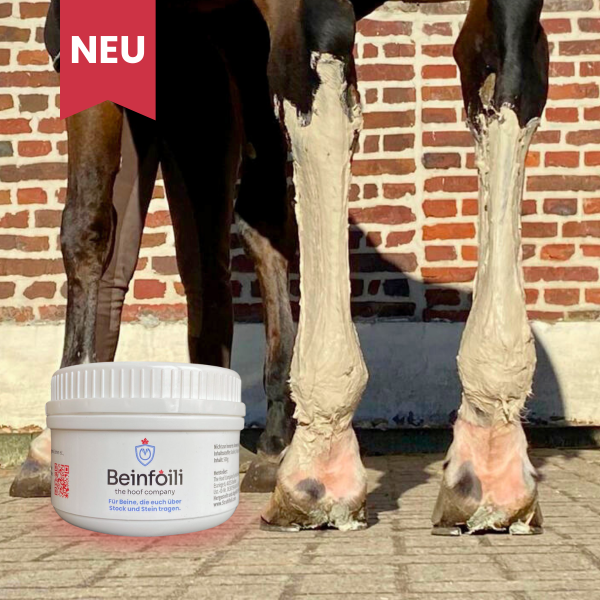 BEINFOILI leg pack for horses with cooling effect, 1kg