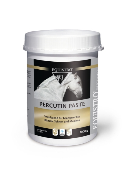 EQUISTRO Percutin Paste äußerlich vet. 2 kg